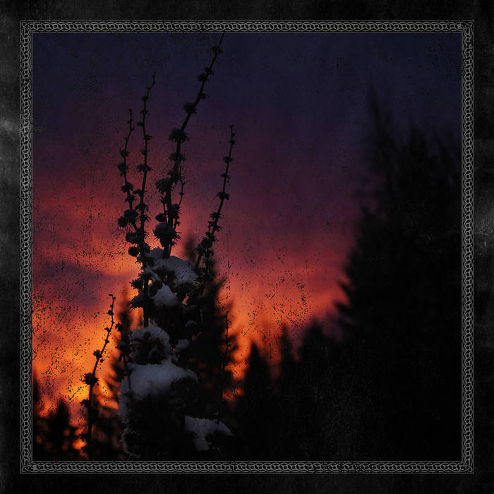 Review: Blackbraid - Nocturnal Womb (EP)