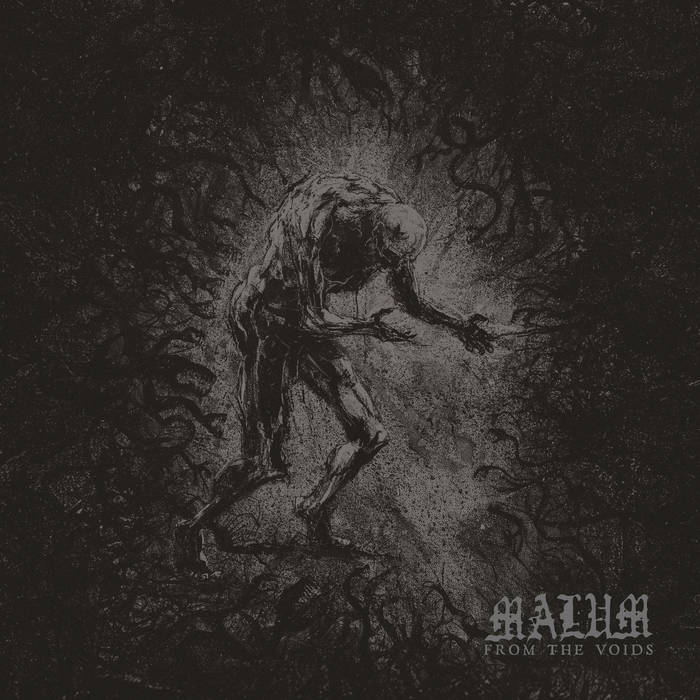 Review: Malum - From the Voids